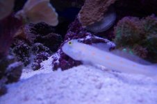 100_1124.jpg