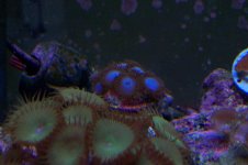 100_1127.jpg