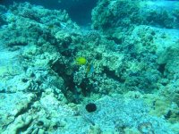 Honaunau 006.jpg
