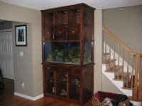 new stand not st up 1.jpg