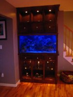 new tank 2.jpg