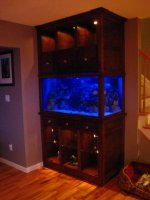 new tank 3.jpg