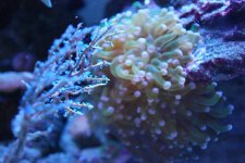 DSC_0020.jpg
