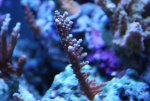 DSC_0015.jpg