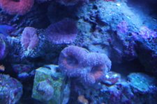 DSC_0034.jpg