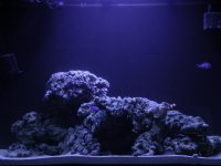 DSCN2579.jpg
