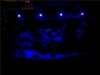 leds.jpg