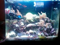 IMG00131-20100222-2101.jpg
