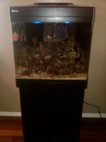 IMG00138-20100226-1002.jpg