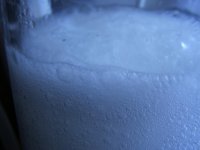 DSCF1162.jpg