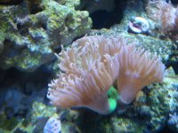 DSC00175.jpg