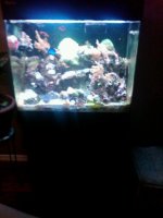 IMG00130-20100222-2101.jpg