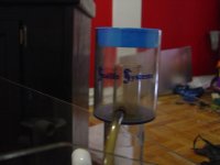 DSC00488.jpg