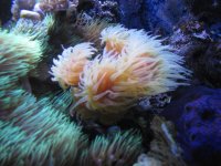 IMG_5137.jpg