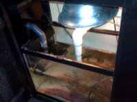 IMG00072-20100414-0927.jpg