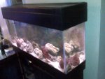 IMG00074-20100414-0928.jpg