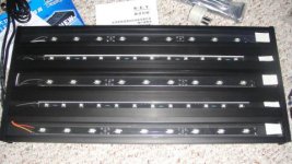 THE KEY 81w CREE MODEL.jpg