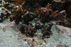 DSC_0283.jpg