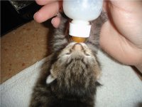 April14-day11A.JPG