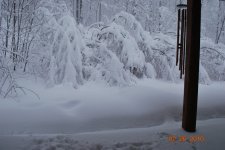 DSC_0984.JPG