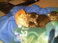 IMG00341-20100222-0821.jpg