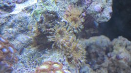 friend or foe 003.jpg