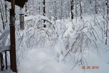DSC_0988.JPG