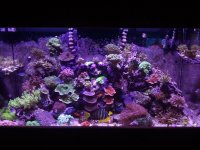 2010-12-31 16.43.07.jpg