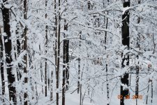 DSC_0992.JPG