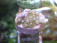 DSC01461.jpg