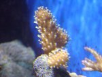DSC01457.jpg