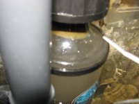 ER skimmer 003.JPG