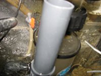 ER skimmer 005.JPG