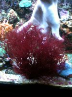 IMG_0332.jpg