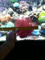 IMG_0331.jpg
