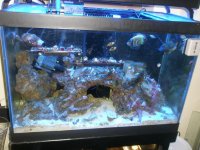 Tank and Stand - 2.jpg