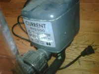 IMG00942-20101101-2303.jpg