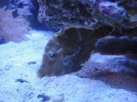 DSC01235.jpg