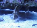 DSC01224.jpg
