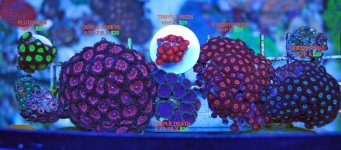 DSC_0015 swap 2010-1.jpg