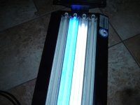24 inch Tek 4 lamp T5 005.JPG