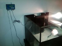 IMG00026-20110102-0149.jpg