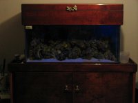 Picture 208.jpg
