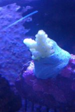 IMAG0058.jpg