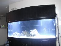 155bowfront 001.jpg