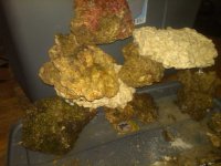 IMG00041-20110107-0347.jpg