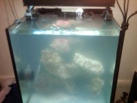 IMG00042-20110107-0434.jpg