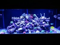 2011-03-05 15.16.23.jpg