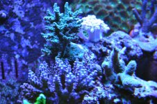 CSC_0023.jpg