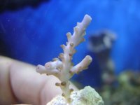 DSC01245.jpg